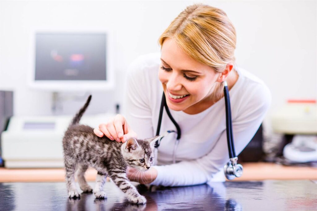 Todo lo que debes saber si quieres estudiar veterinaria