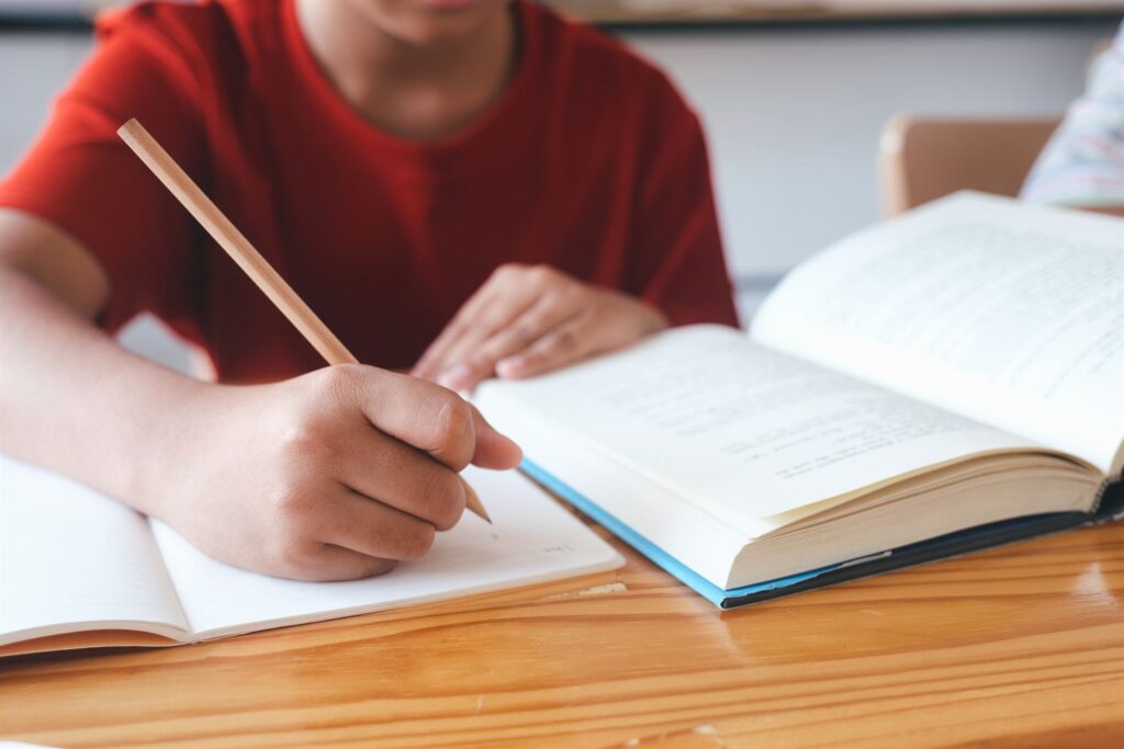 Lo que necesita saber sobre la carrera de educación infantil