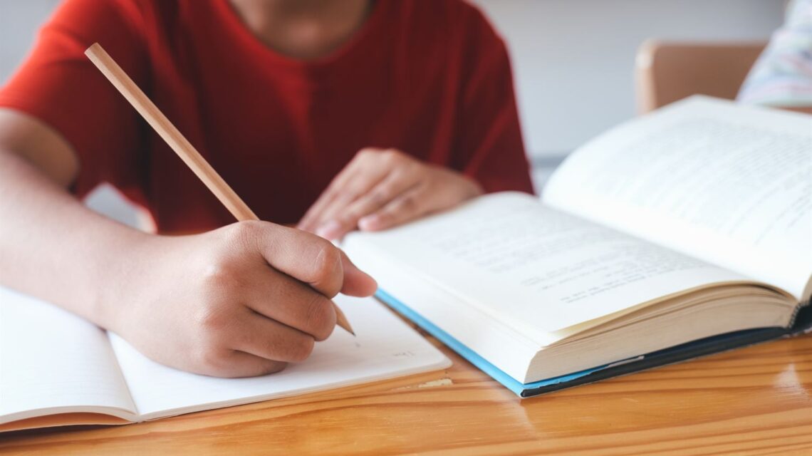 estudiar pedagogía infantil